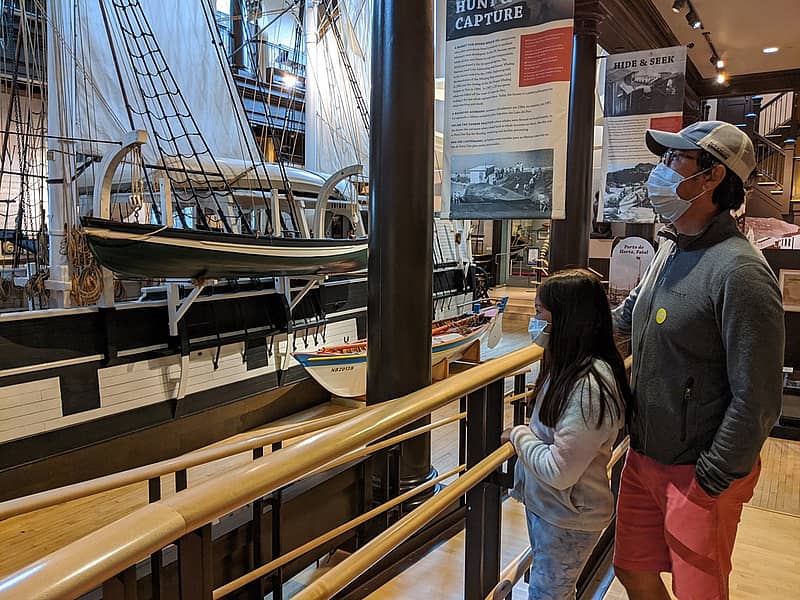 Man and child looking at sailboat exhibit